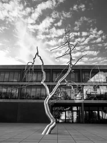 'Diskrepanz' Metal Tree Sculpture, Munich