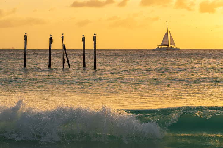 Divi Beach view on Aruba