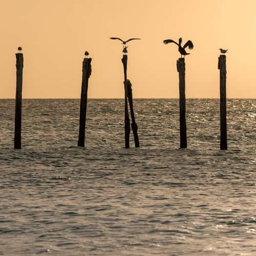 Divi Beach view on Aruba