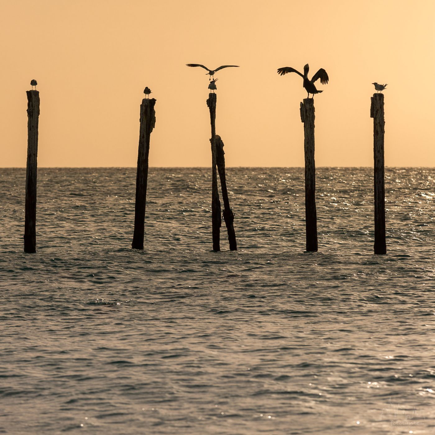 Divi Beach view on Aruba, Aruba