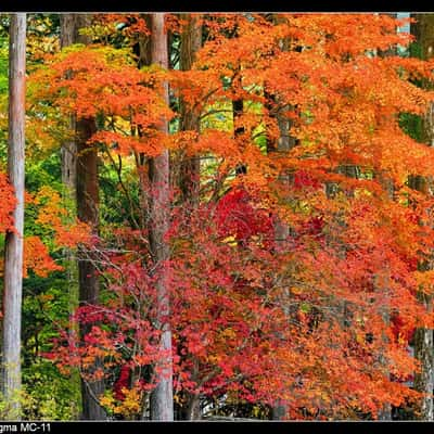 古峯神社 Furumine Shrine, Japan