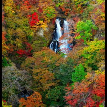 霧降の滝 Kirifuri Falls, Japan