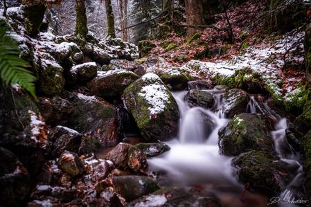 Edelfrauengrab Wasserfälle, Black Forest