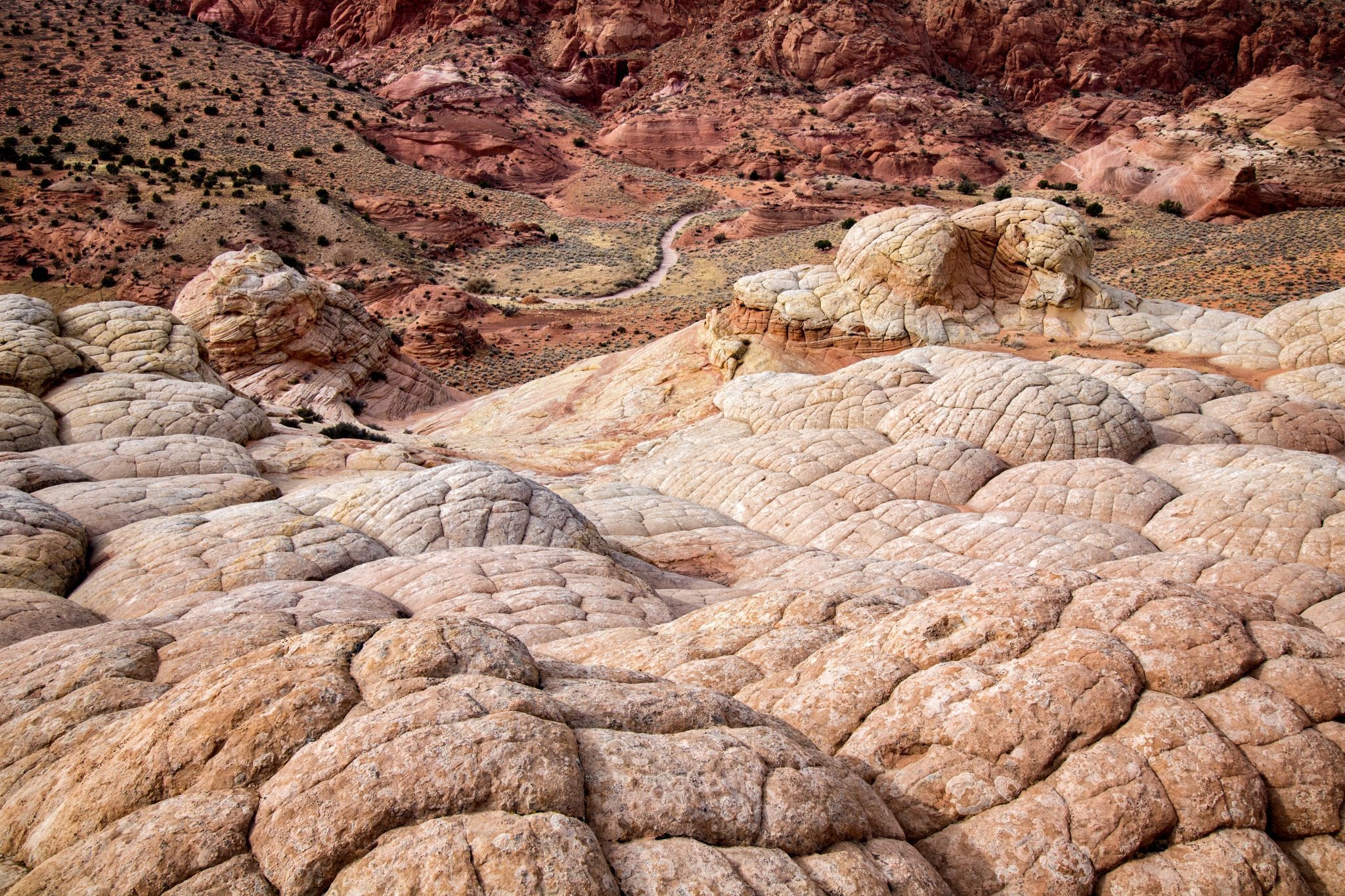 Edmaier’s Secret, USA