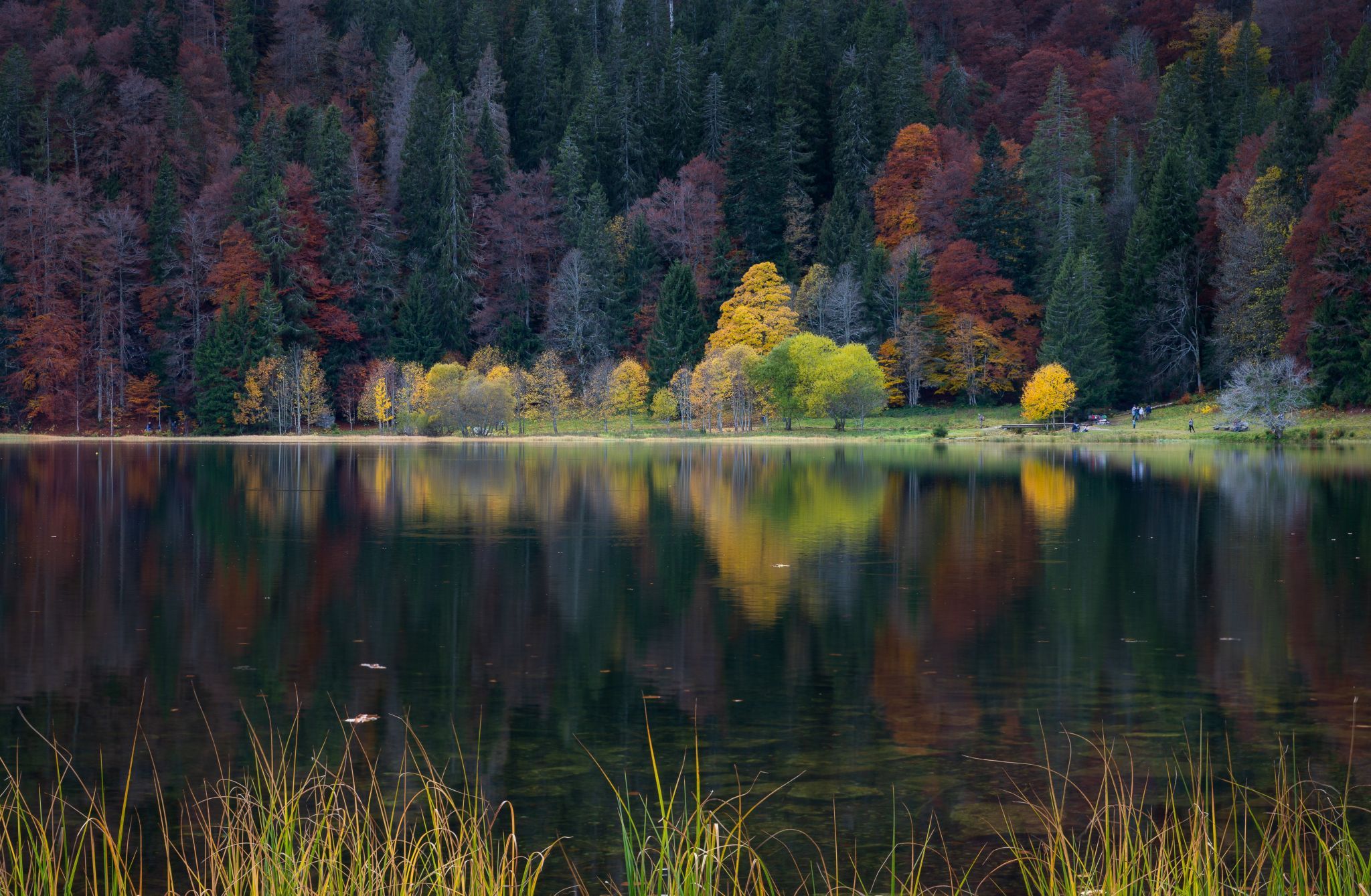 Feldsee, Black Forest, Germany