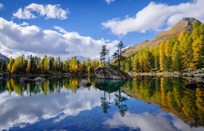 Golden season at Lago di Saoseo