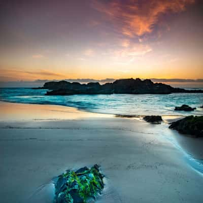 Green Rock sunrise, Delicate Knobby New South Wales, Australia