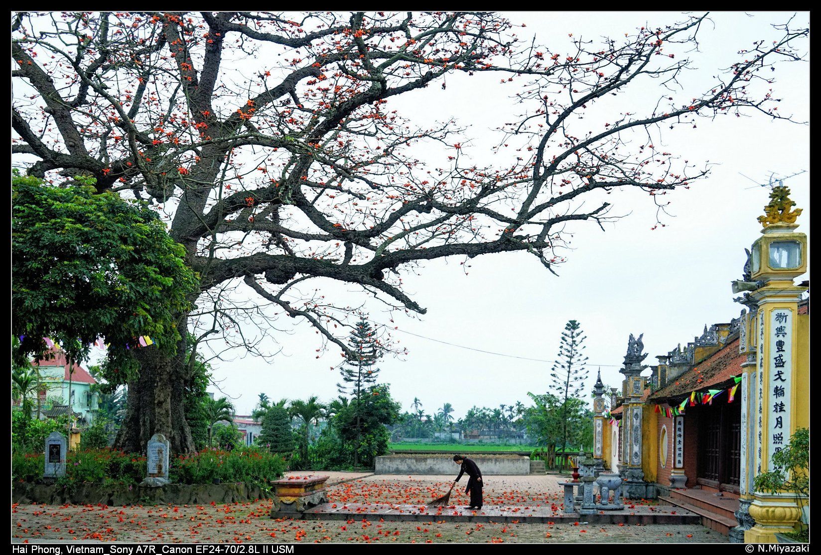 Hải phòng, Vietnam