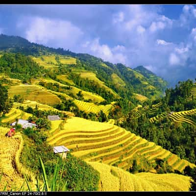 Hoàng Su Phì, Vietnam