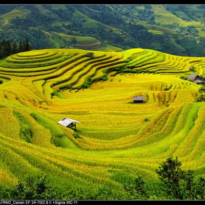 Hoàng Su Phì, Vietnam