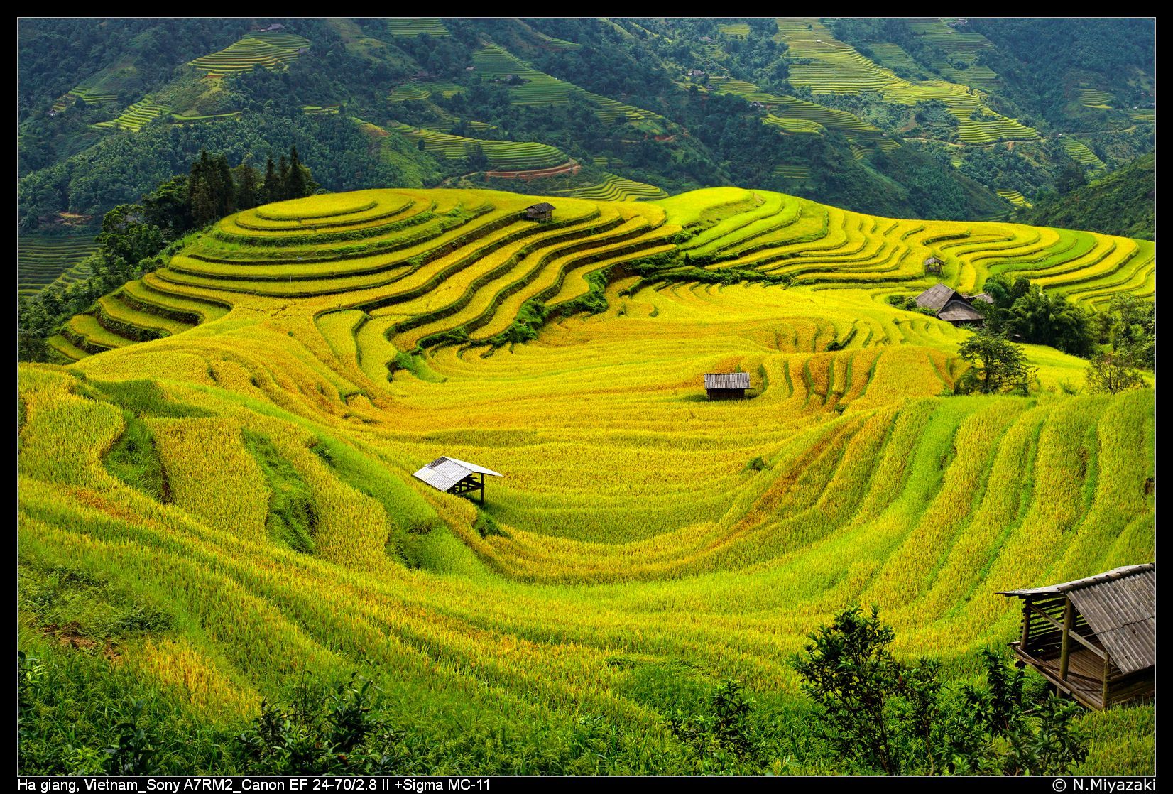Hoàng Su Phì, Vietnam