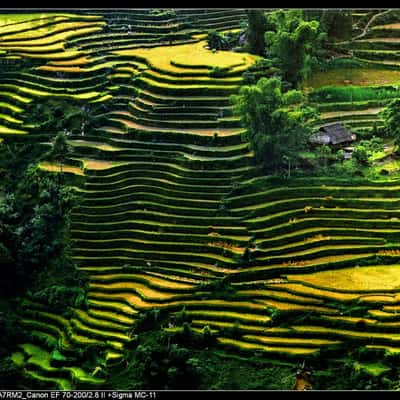 Hoàng Su phì, Vietnam