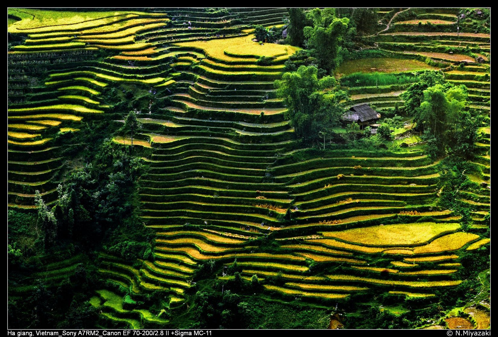 Hoàng Su phì, Vietnam