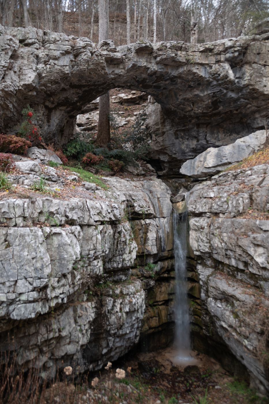 Honeycomb Natural Bridge, USA