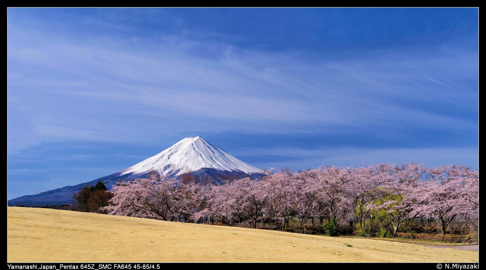 Kawaguchi Lake, Japan