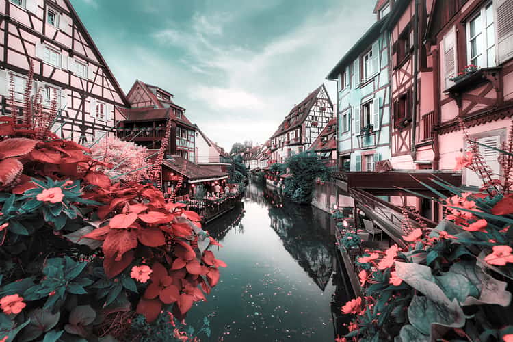 La petite Venice in Colmar