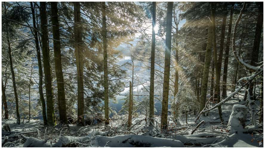 Lac de Lispach