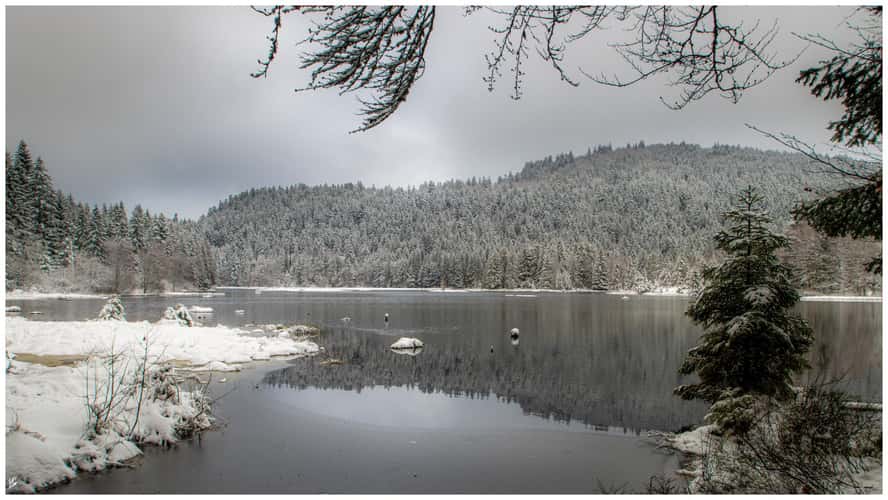 Lac de Lispach