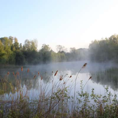 Morning mist, United Kingdom