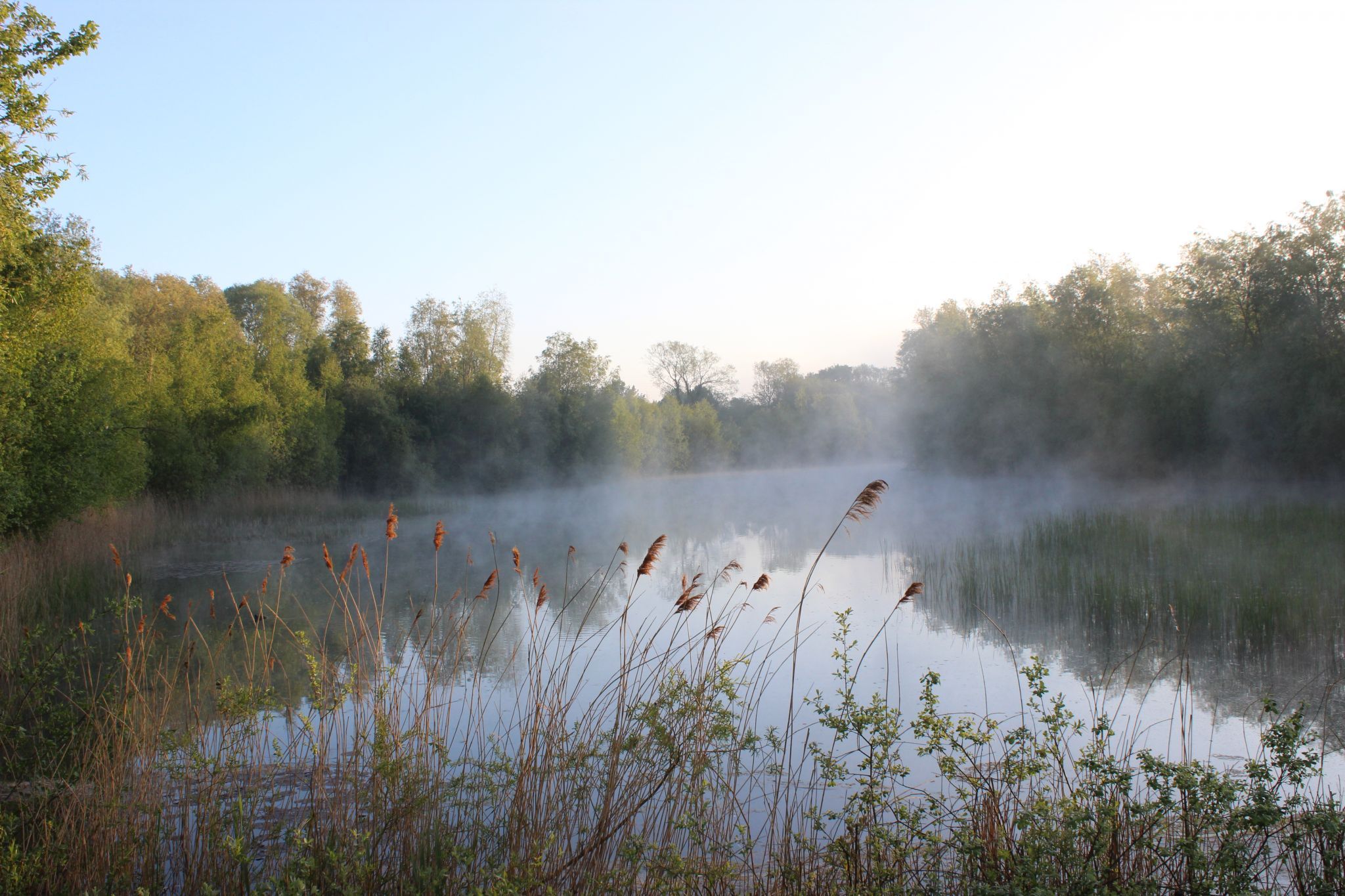 Morning mist, United Kingdom