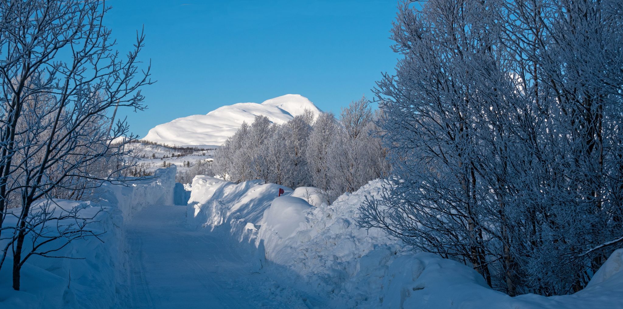 No way, Norway