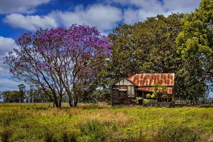 Old House & Jacaranda Gladstone New South Wales