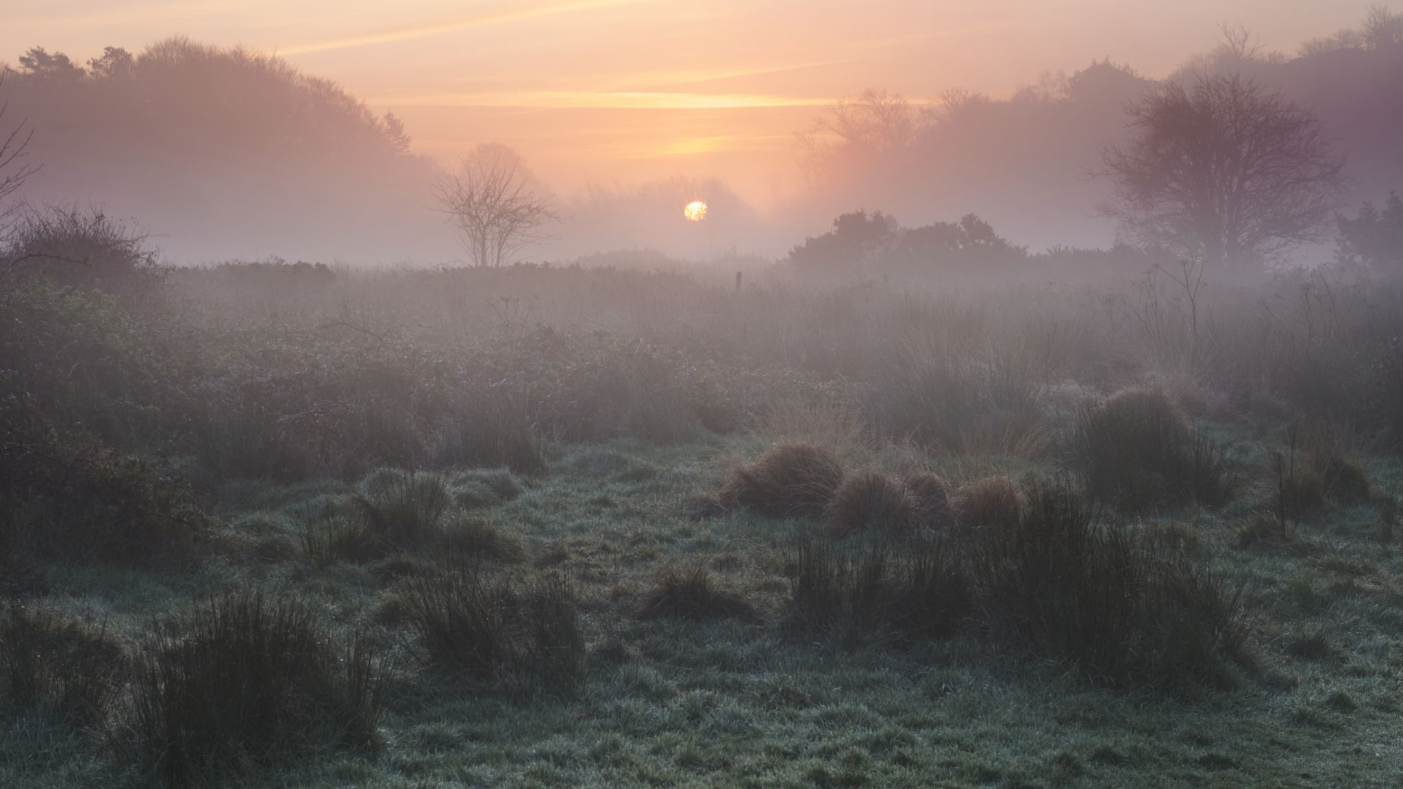 Old Postbridge, United Kingdom