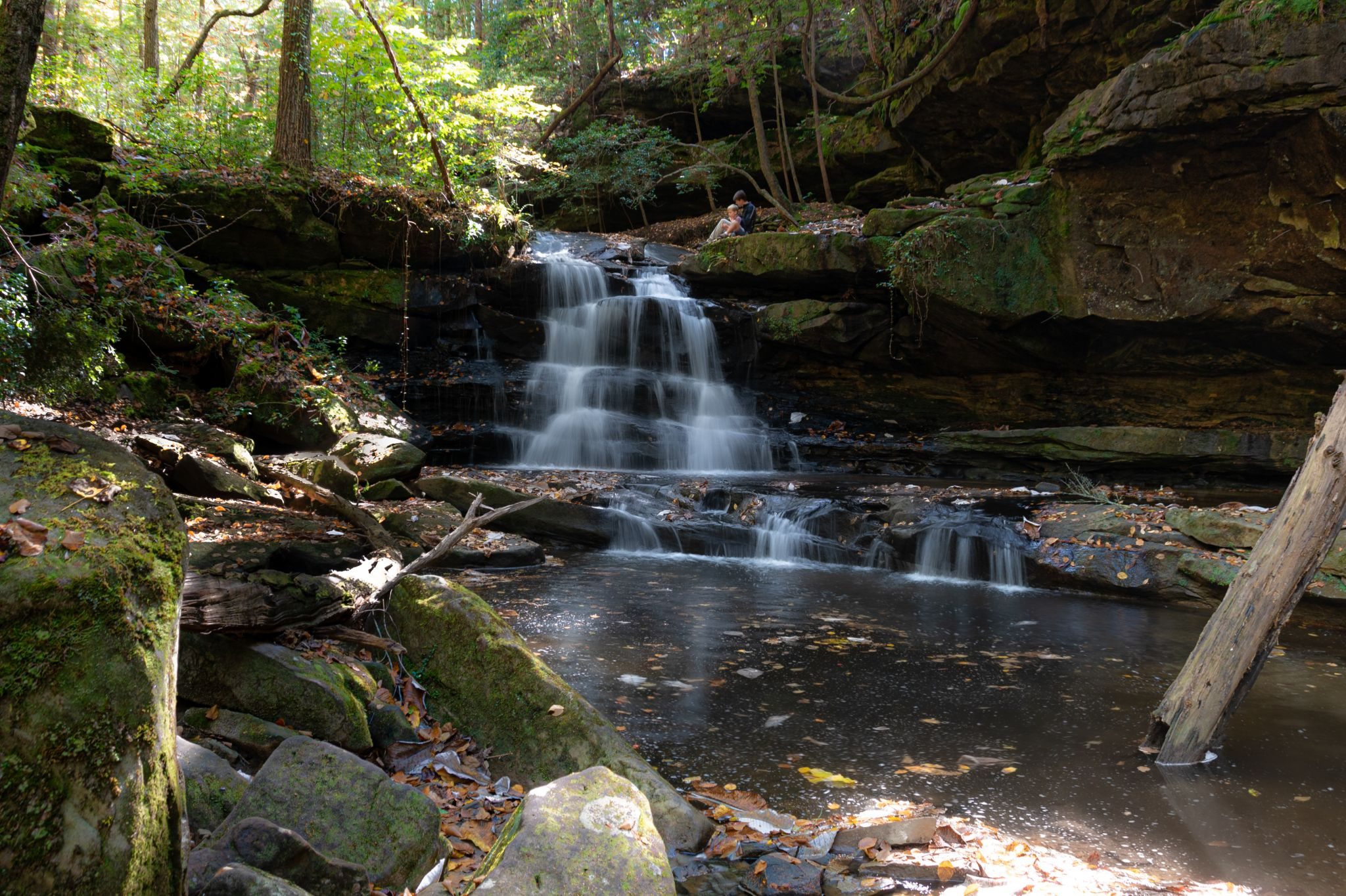 Top Photo Spots at Bankhead National Forest in 2023