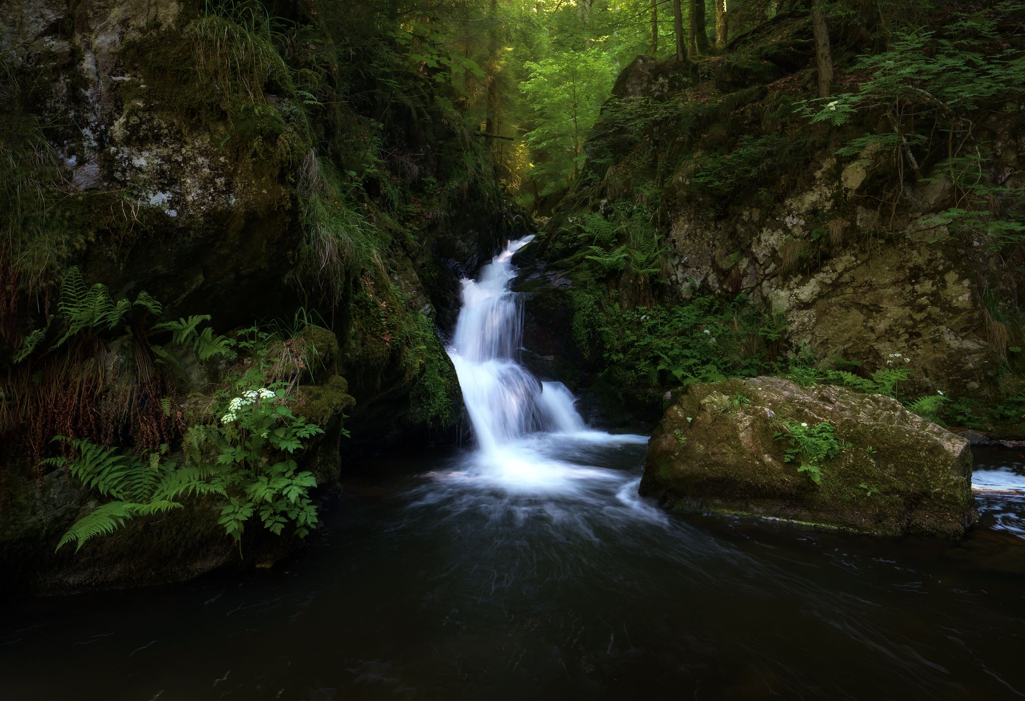 Ravennaschlucht, Black Forest, Germany