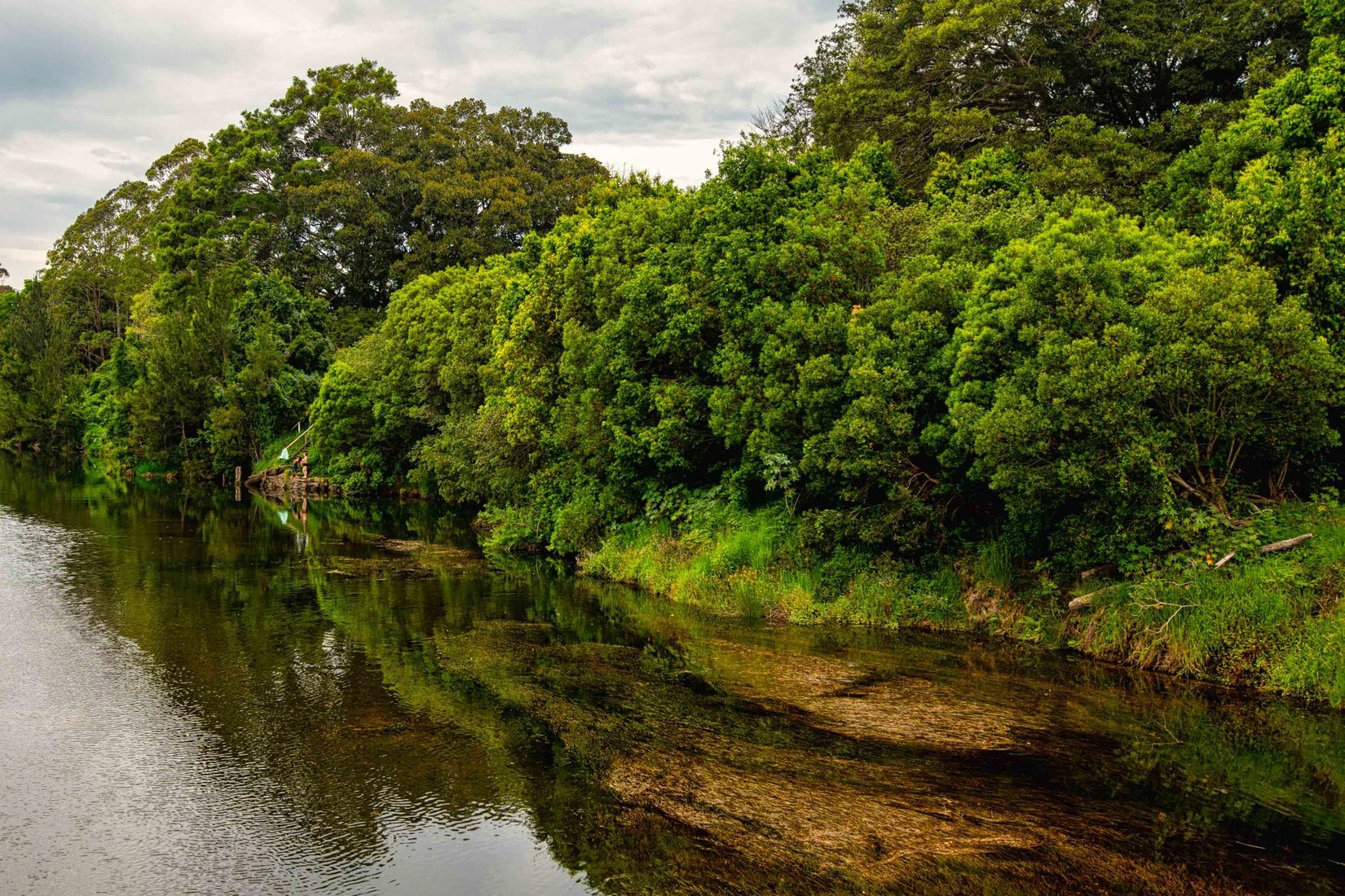 Reflection on the Bellinger River Bellingen New South Wales, Australia