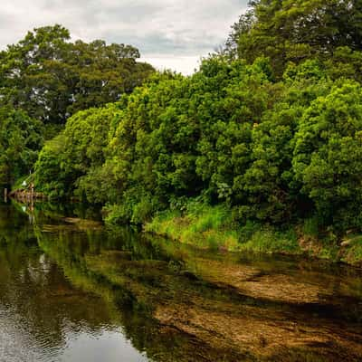 Reflection on the Bellinger River Bellingen New South Wales, Australia