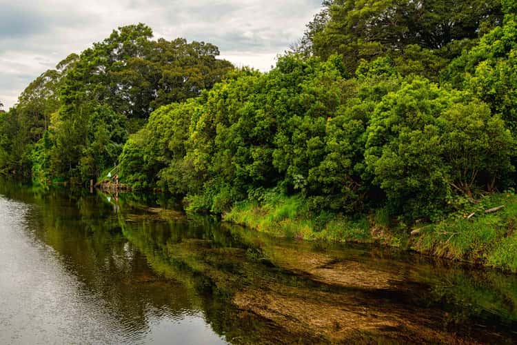 Reflection on the Bellinger River Bellingen New South Wales