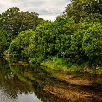 Reflection on the Bellinger River Bellingen New South Wales, Australia