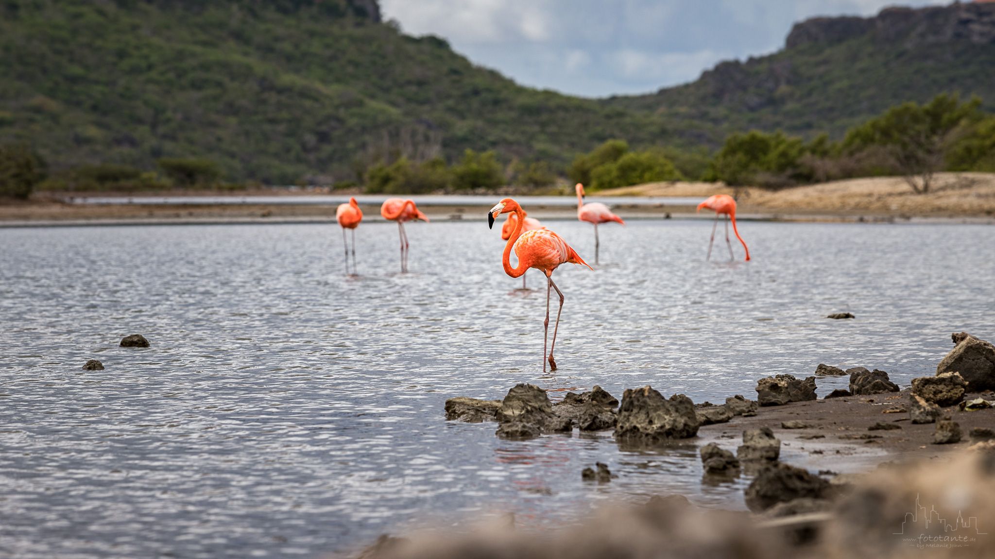 Saliña Sint Marie, Curaçao