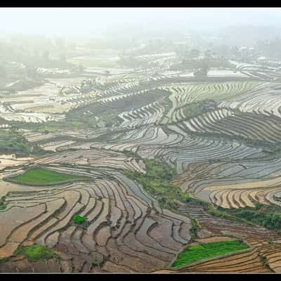 Sàng Ma sáo, Vietnam