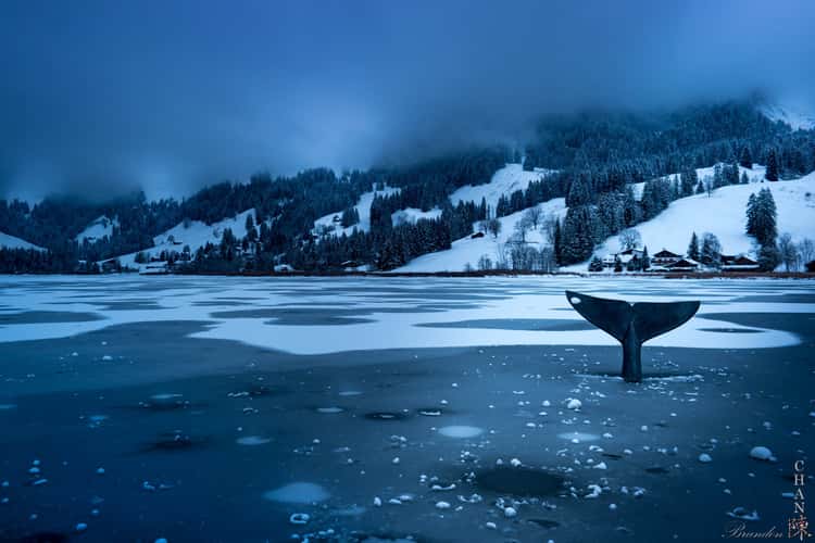 Schwarzsee Winter