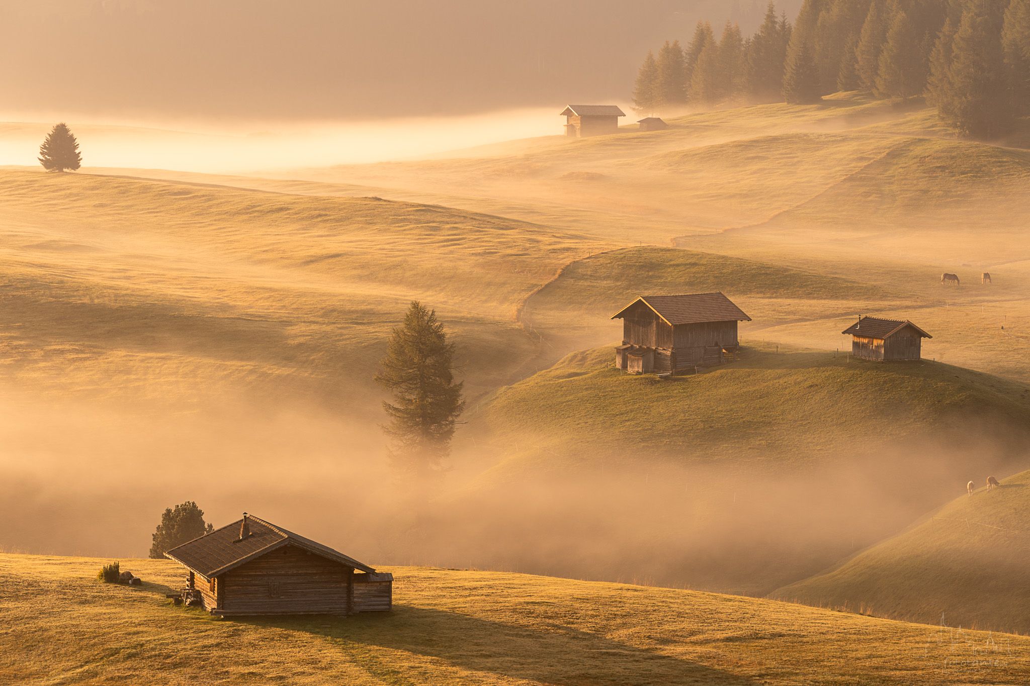Seiser Alm, Italy