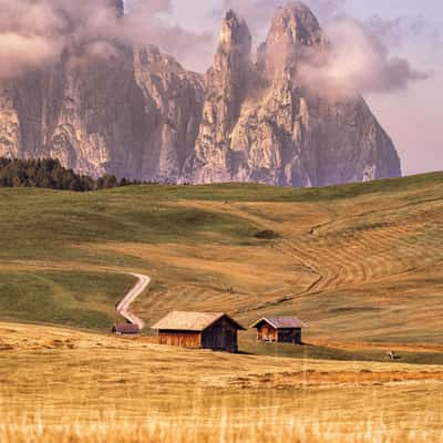 Seiser Alm view to Schlern, Italy