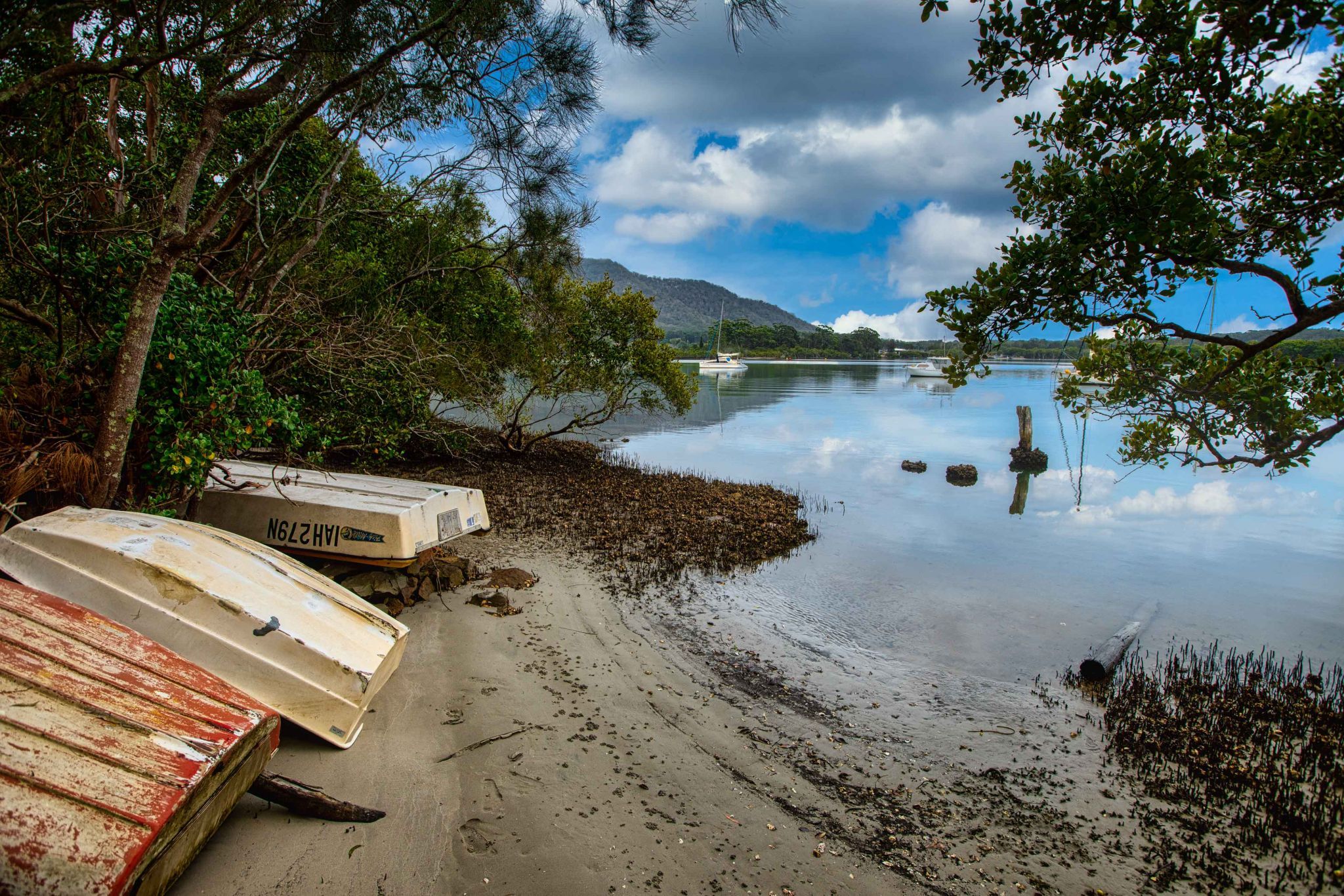 Small Boats & Mangroves Dunbogan New South Wales, Australia