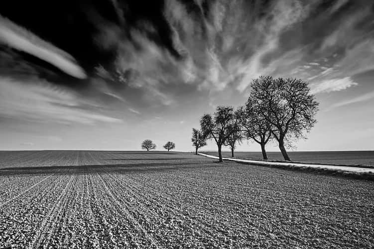 South Palatinate
