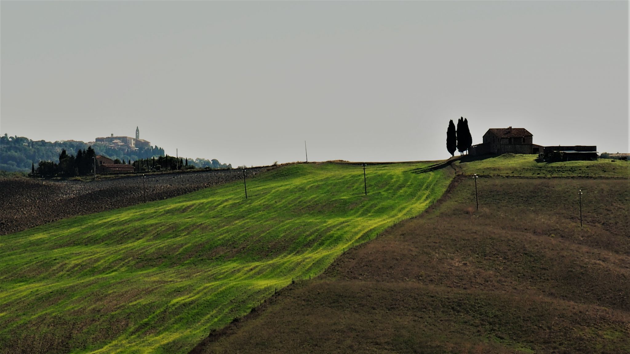 Spring in Val D'Orcia, Italy