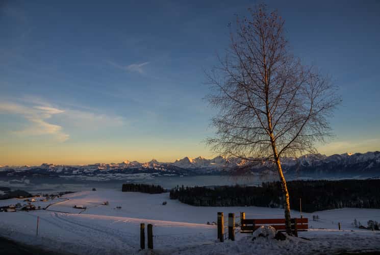 Sunset over the Bernese Alps