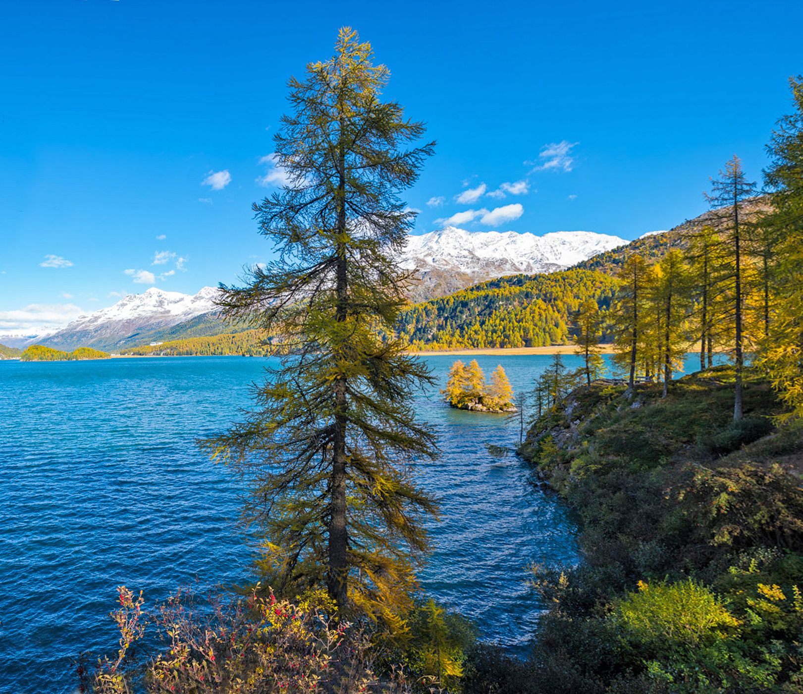 The golden island in Lake Sils, Switzerland