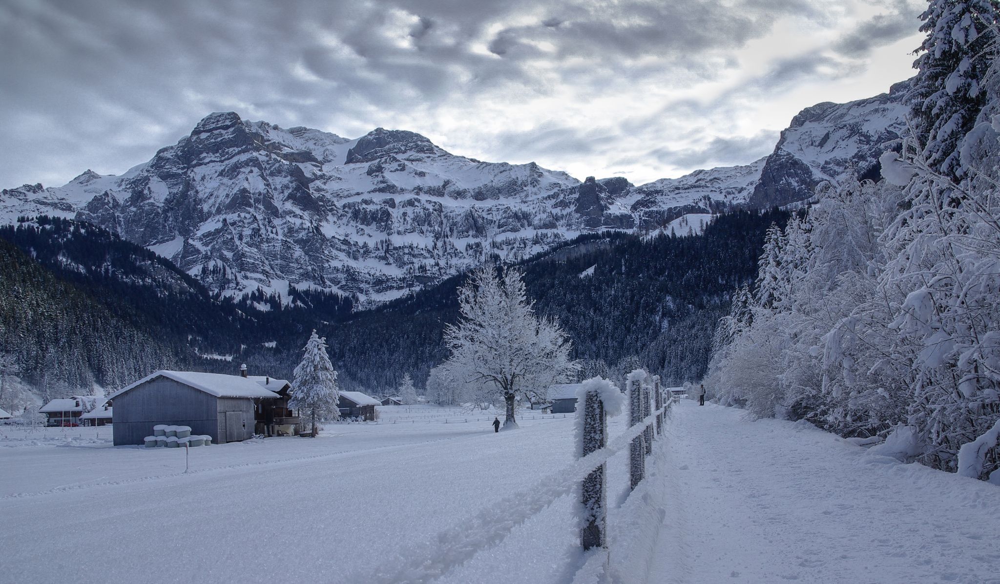 Towards the sun, Switzerland
