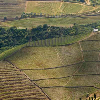 Vale de Mendiz, Alto Douro, Portugal