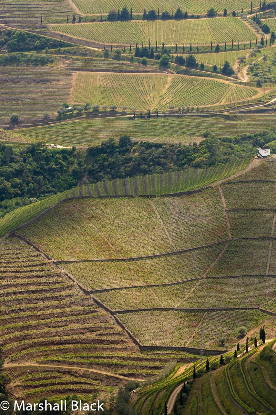 Vale de Mendiz, Alto Douro, Portugal