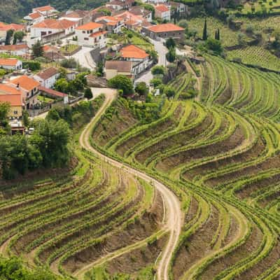 Vale de Mendiz, Alto Douro, Portugal