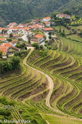 Vale de Mendiz, Alto Douro