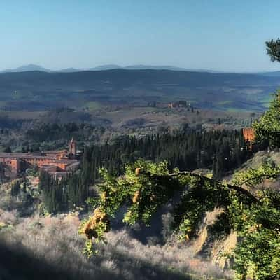 View to Monte Oliveto Maggiore, Italy