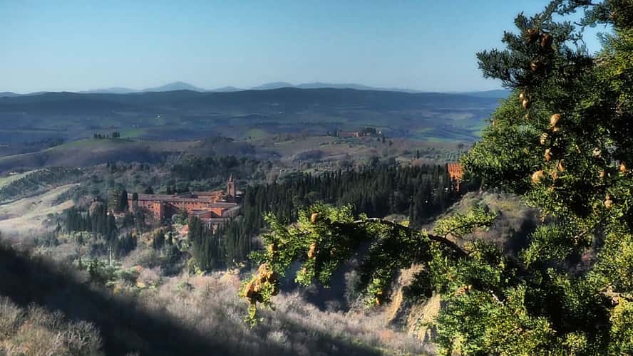 View to Monte Oliveto Maggiore